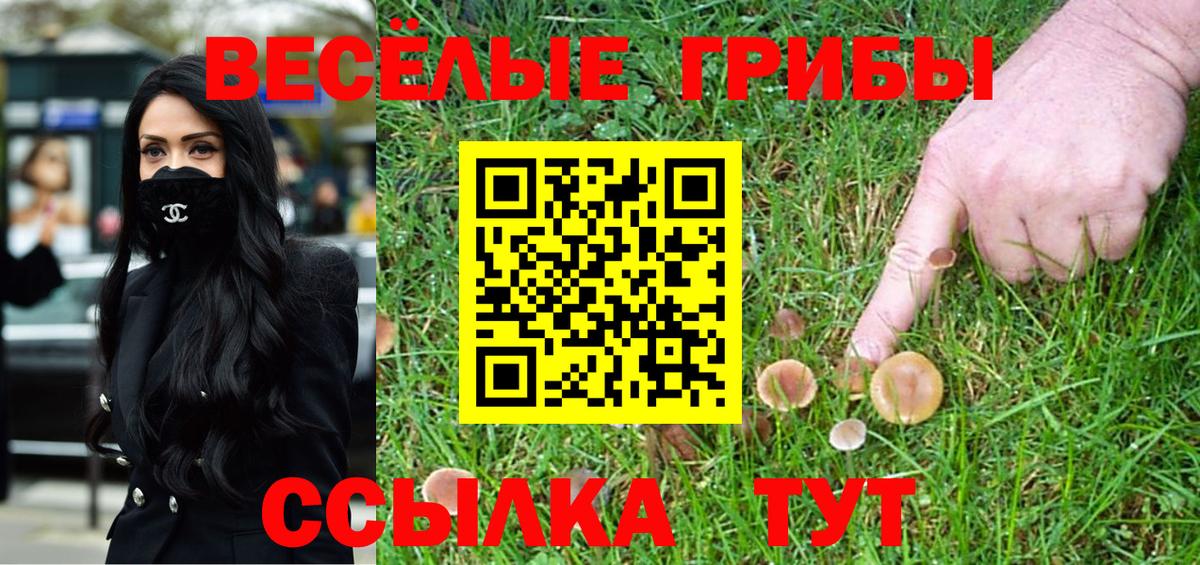 Псилоцибиновые грибы прущие грибы Анжеро-Судженск